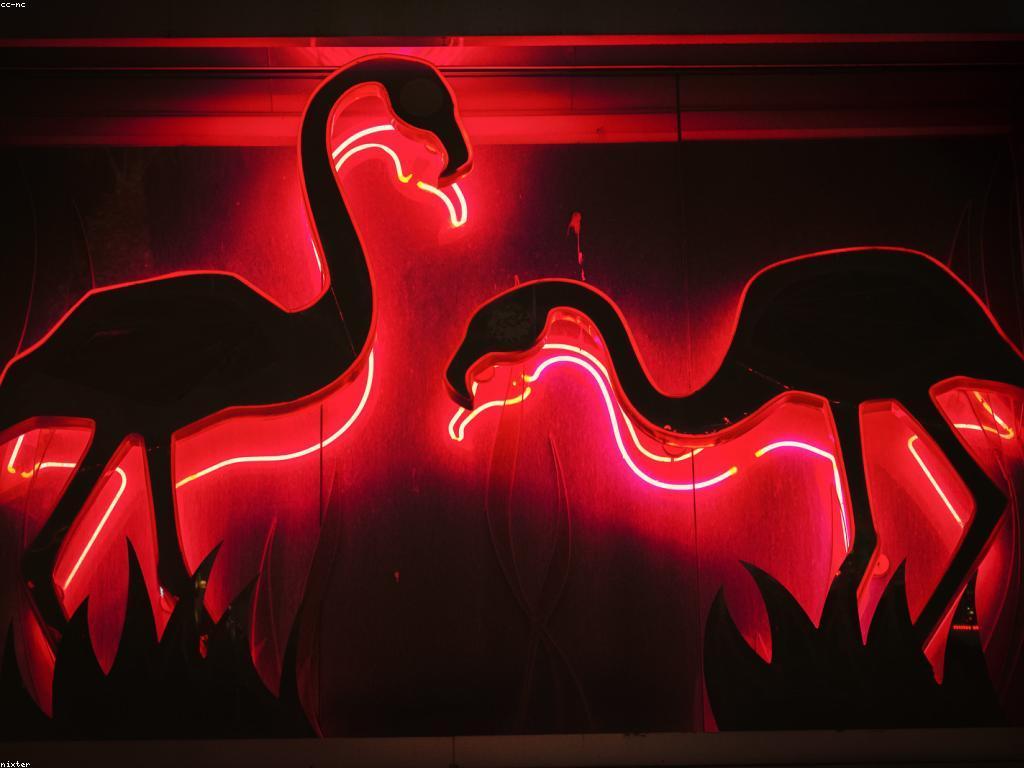 ការបង្ហាញកាស៊ីណូសម័យទំនើប