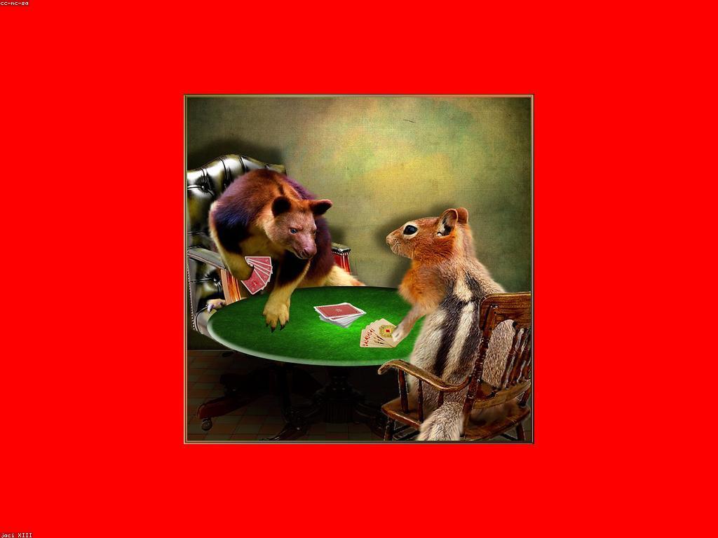 យុទ្ធសាស្ត្រប្រសើរនៃការបង្ហាញកាស៊ីណូសម័យទំនើប