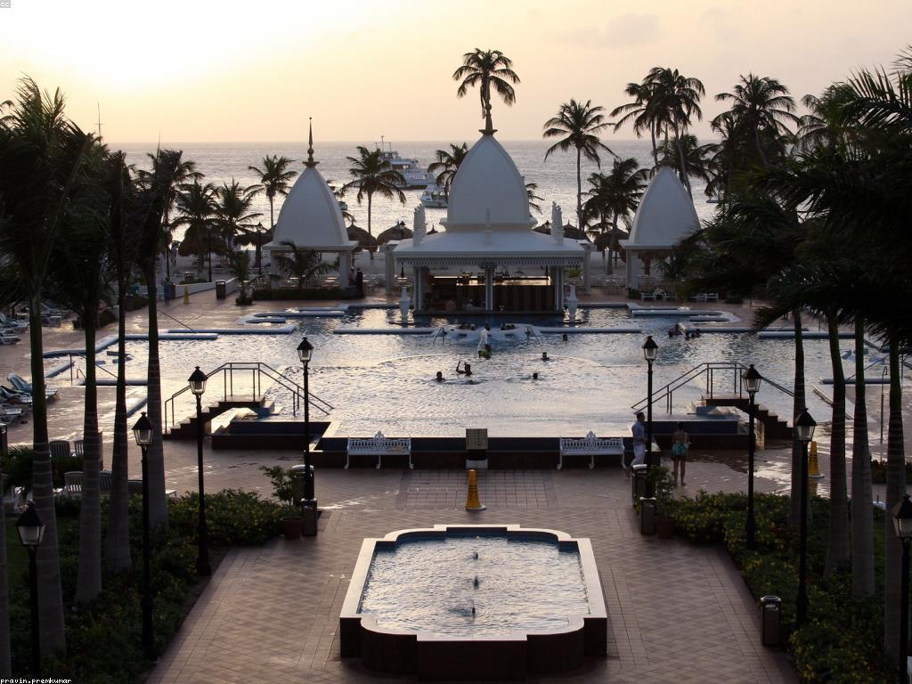 ការបង្ហាញកាស៊ីណូ: ការយល់ដឹងអំពីការបង្ហាញកាស៊ីណូ