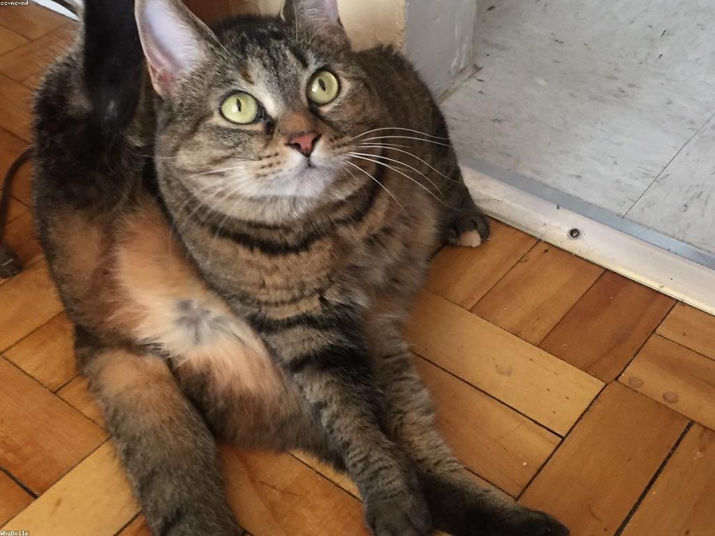 សេចក្តីជូនដំណឹង និងដំណឹងថ្មី